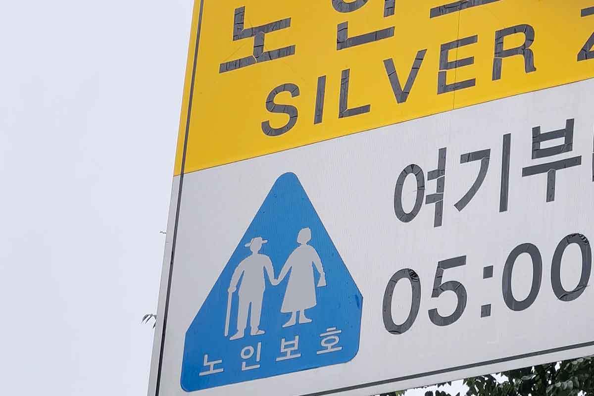 운전자-스쿨존-노인