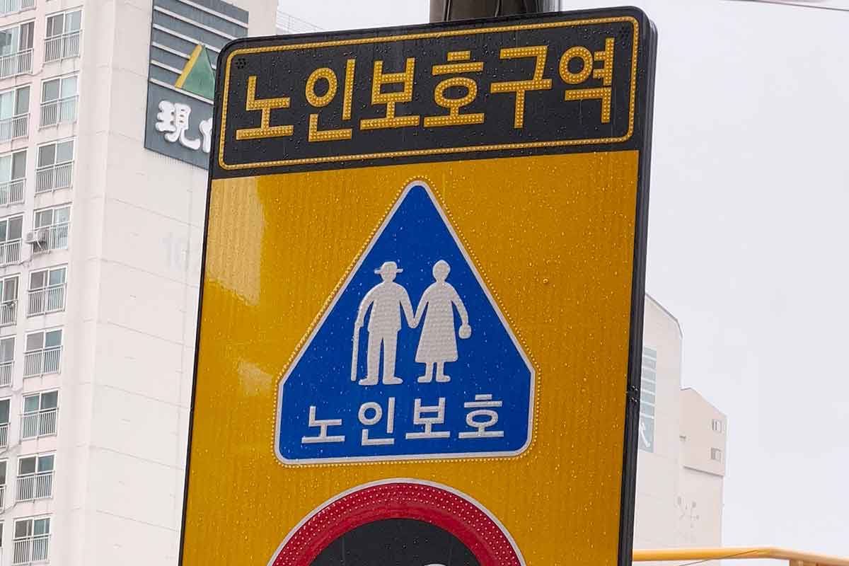 운전자-스쿨존-노인