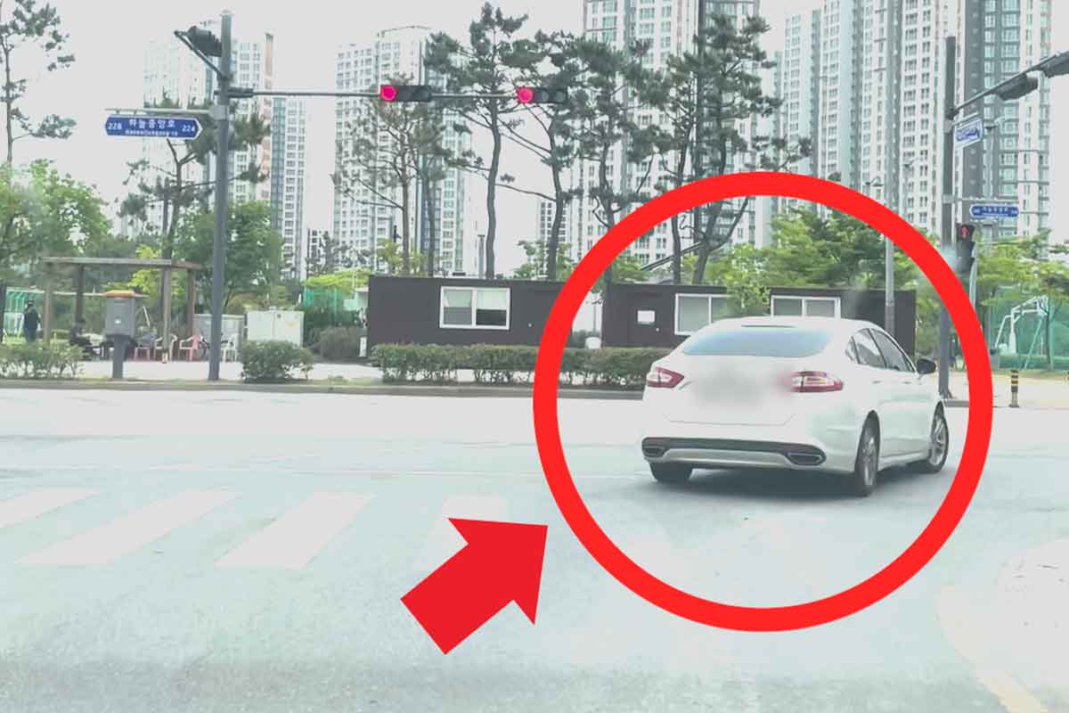 우회전-일시-정지-보행자-4