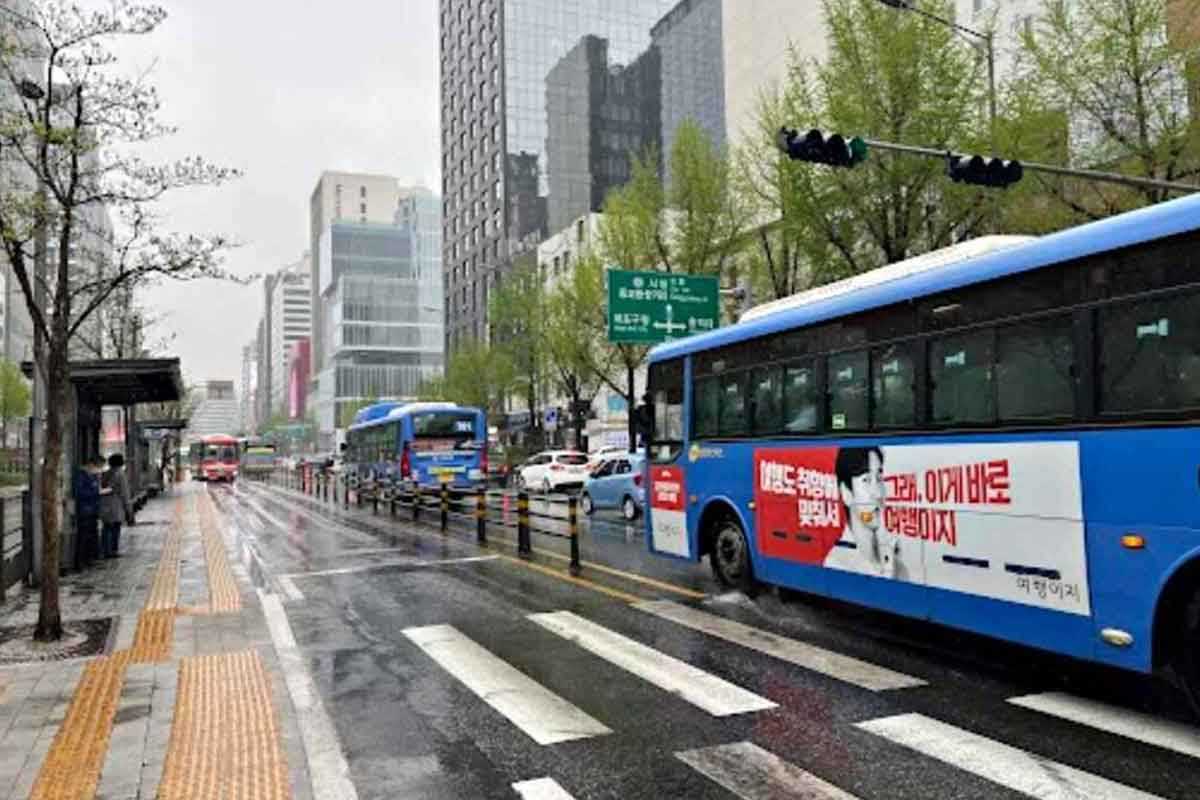 신호등-과태료-점멸-사고-6