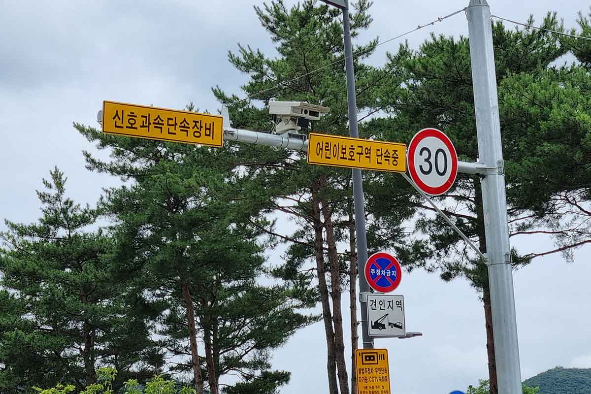 스쿨존-속도제한-운전자