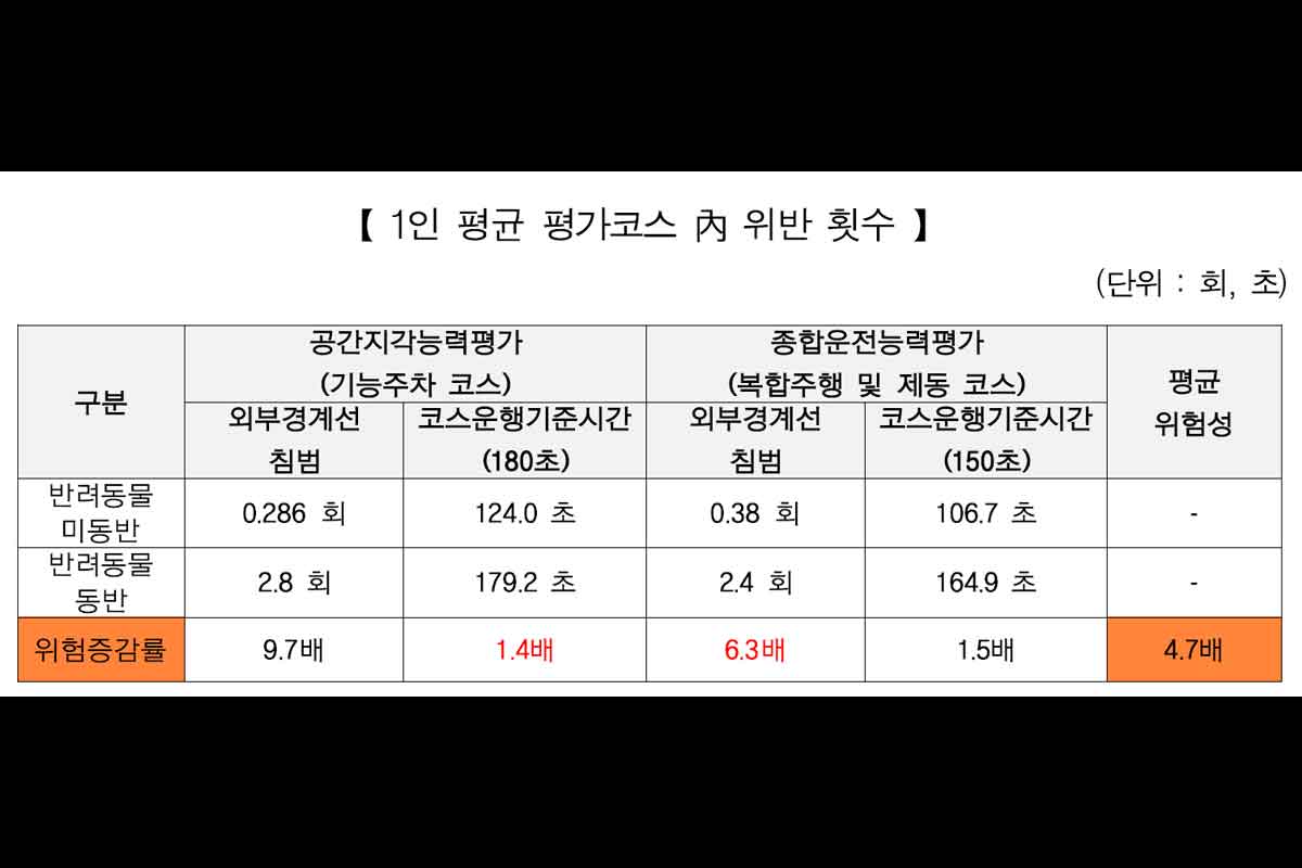 운전자-반려동물-교통사고-시야방해-범칙금