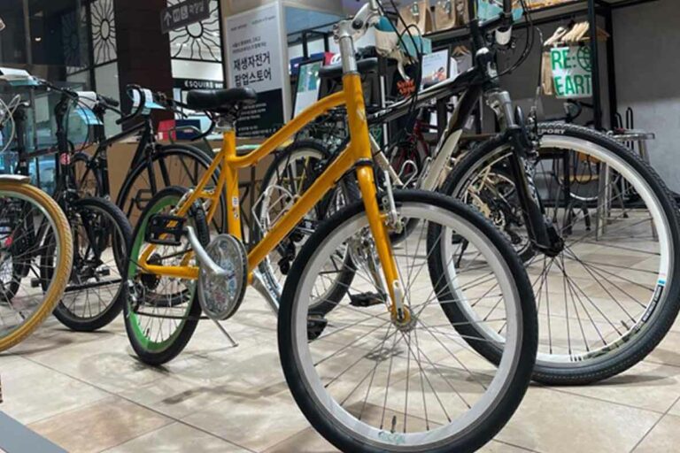 자전거-교통사고-사망사고-안전운전-안전모