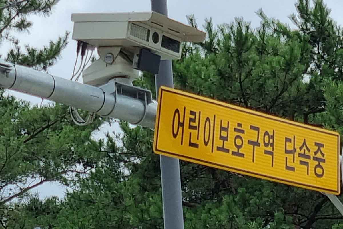 단속 카메라-교통과학장비-신규 설치-속도 변경-교통안전