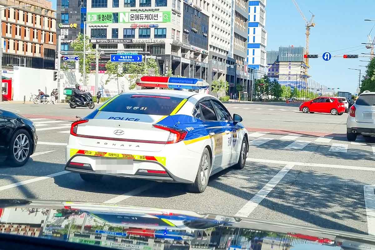 부산-경찰관-음주운전-뺑소니-도주-추격전-집행유예-해임