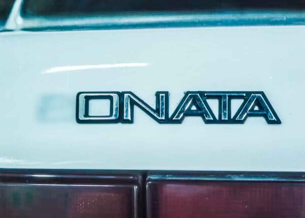 쏘나타-40주년-오나타